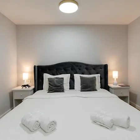 Vibe * Тимишоара