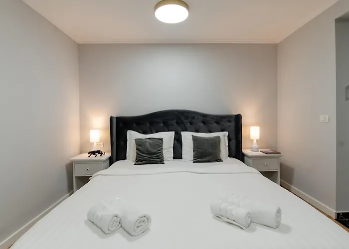 Vibe * Тимишоара