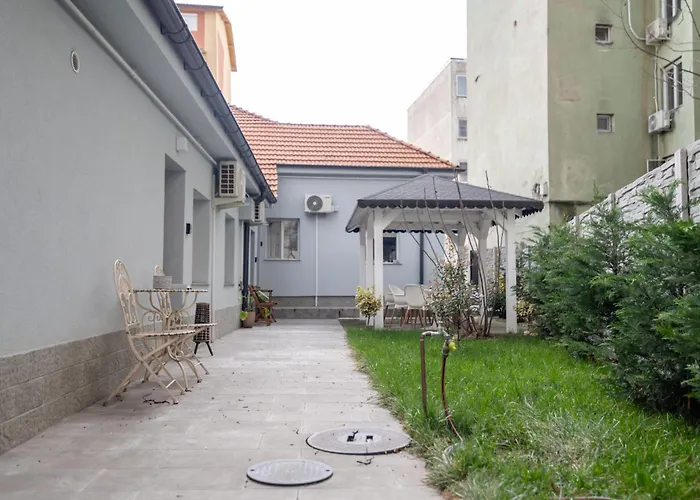 Vibe Тимишоара