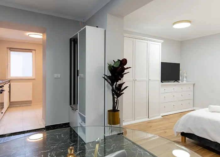 Vibe Apartament Timişoara